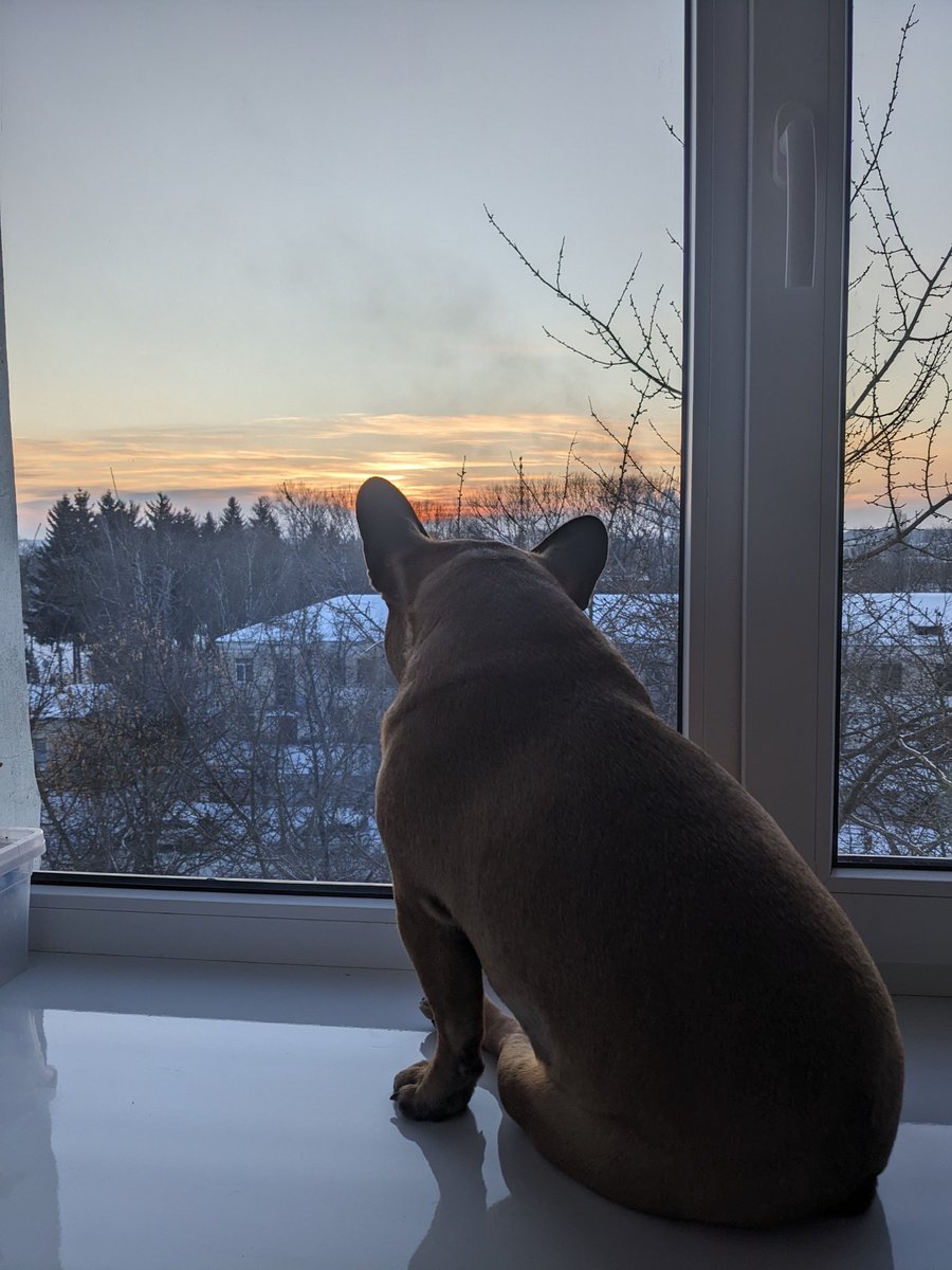 Pullover tweet media