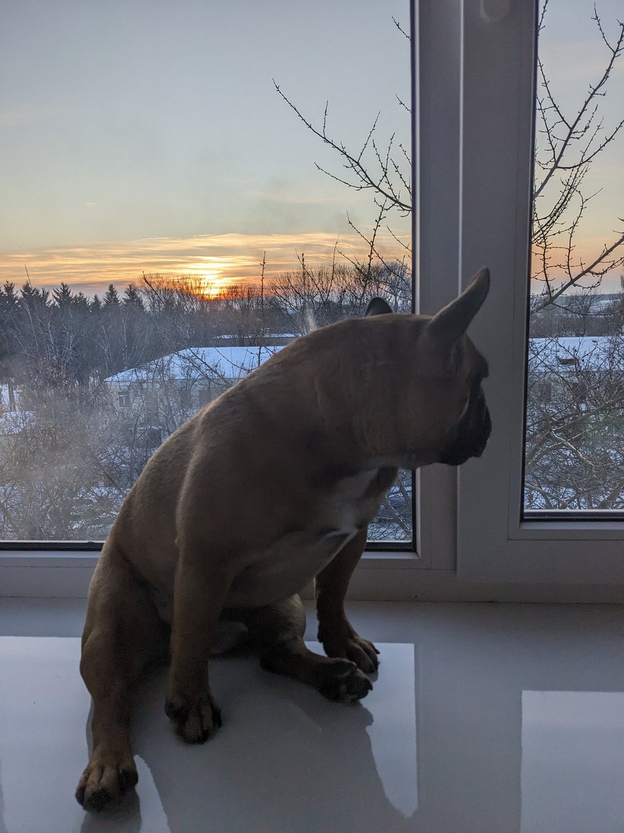 Pullover tweet media