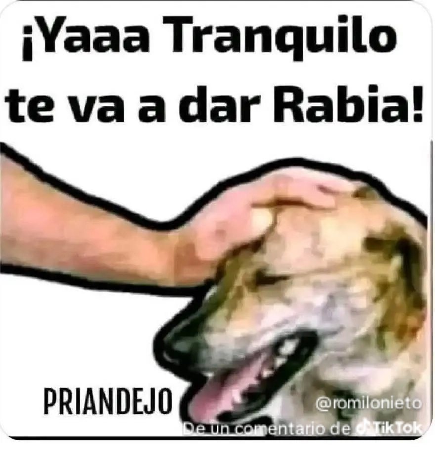 Jesus Sotelo🇲🇽⚖️🐦 (@jesussotelo64) on Twitter photo 