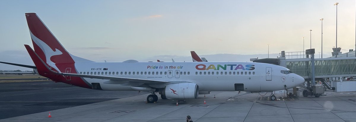 Chicken or Beef tweet media