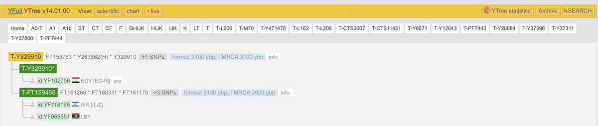 🇪🇬 عيّنة مصرية جديدة Big Y-700 من الإسماعيلية – T-FT159783 (تحت T-M70)

TMRCA حوالي 3100 سنة

تفاصيل العيّنة
الاسم: سيد محمد مصطفى أحمد درويش الطميلات
رقم العيّنة: BP14172
نوع الفحص: Big Y-700
الدولة: مصر
المحافظة: الإسماعيلية
السلالة الأبوية: T-FT159783
الموضع النهائي على YFull: