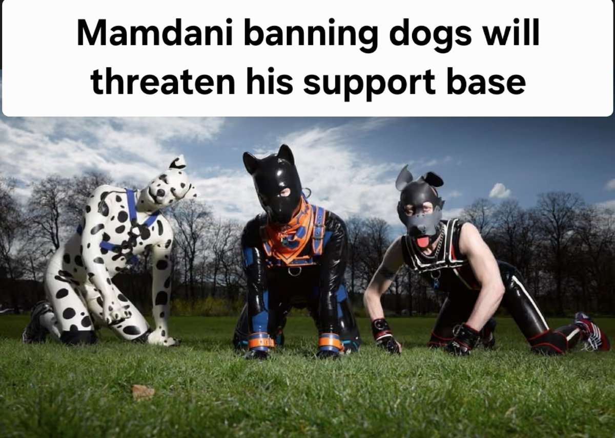 Conservative Raccoon tweet media