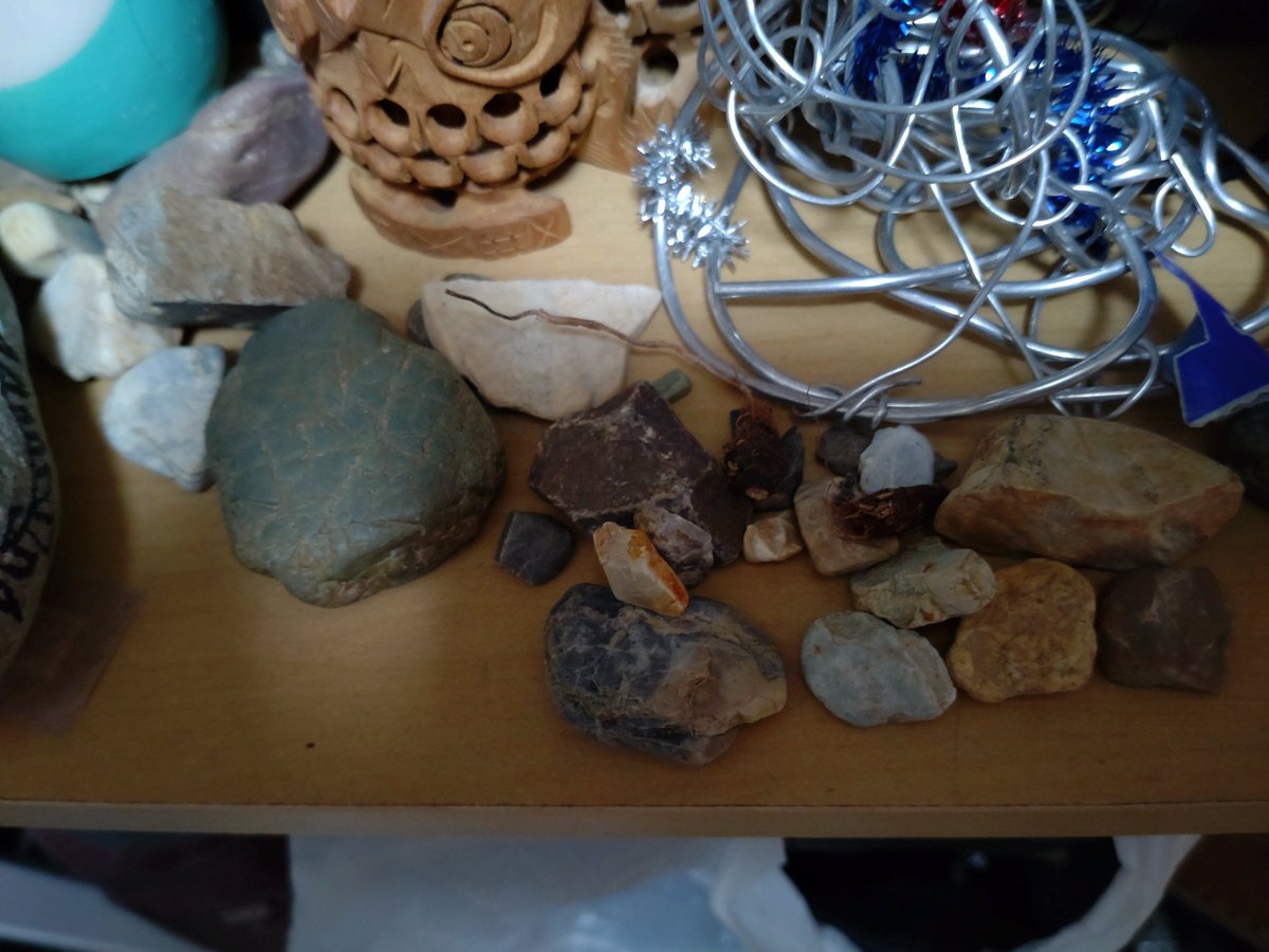 最高学年になる我が子が学校の校庭や公園から小石を拾ってくるんだけど