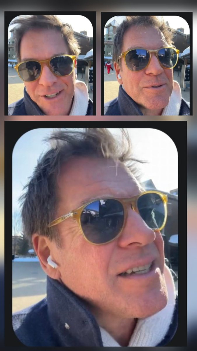 Gina Evans tweet media