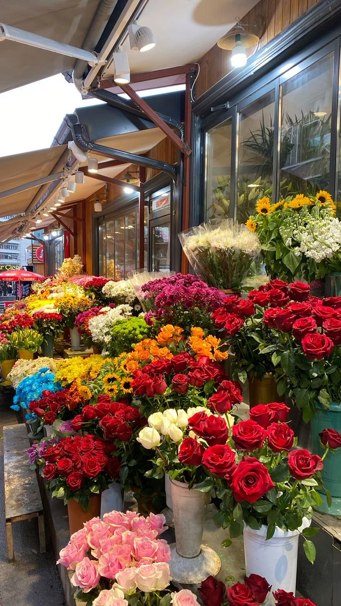 𝓣𝓱𝓮𝓑𝓵𝓸𝓼𝓼𝓸𝓶𝓢𝓽𝓾𝓭𝓲𝓸 (@phollukidukaan) on Twitter photo 