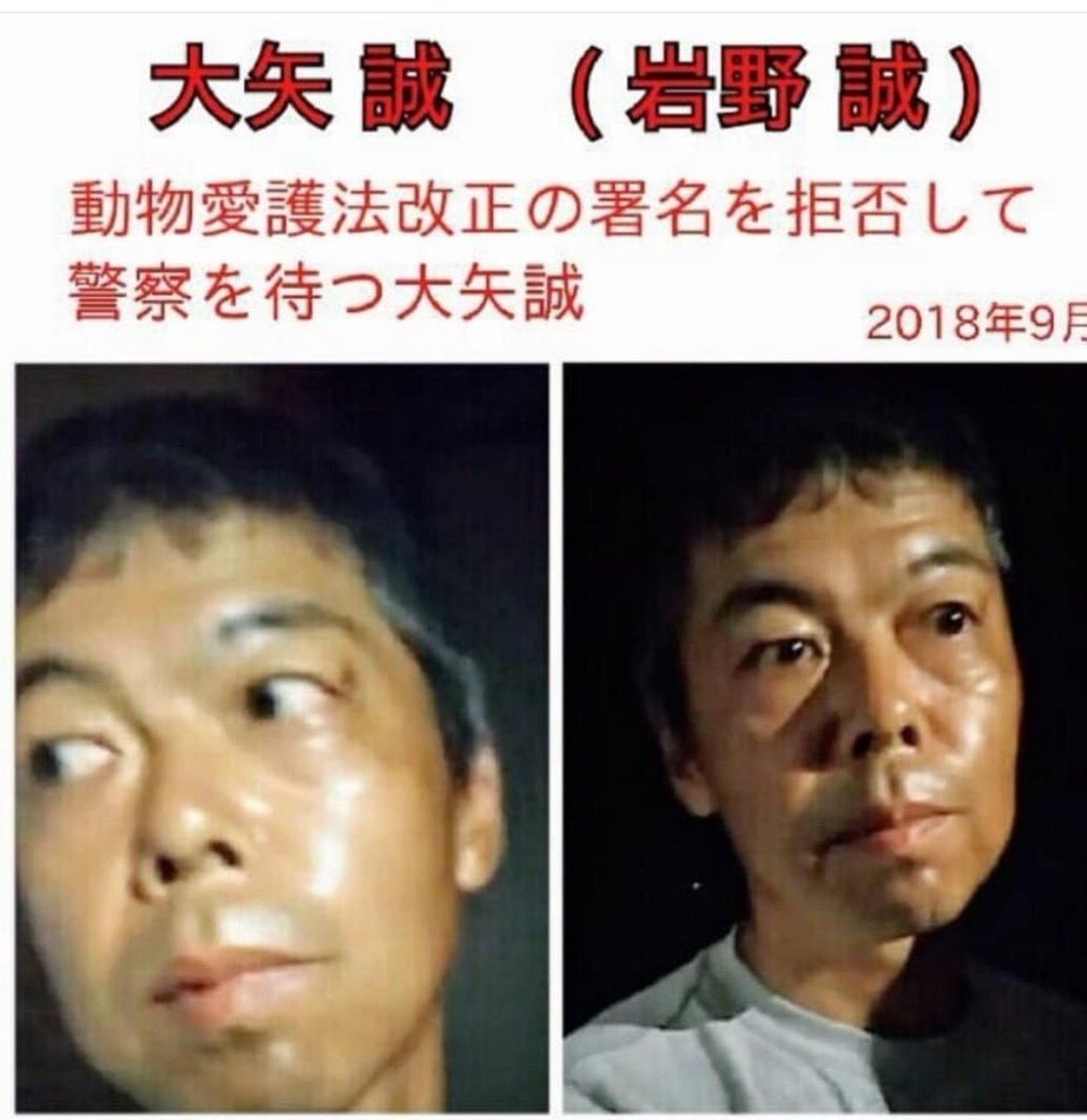 老化により多少顔が変わってる可能性がありますが、また猫を探して譲渡会に現れているそうです
拡散をお願いします
絶対に猫を渡さないでください