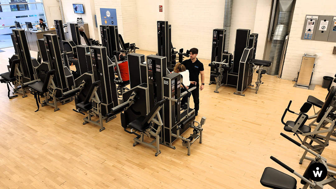 Wunder Training tweet media