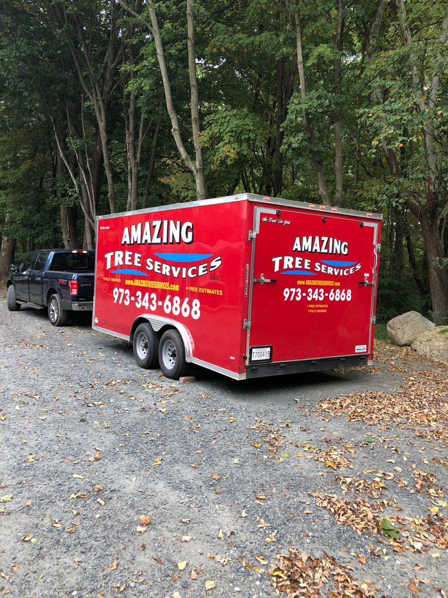 Tree Service in North NJ

Amazing Tree Services offers trusted Tree Service in North NJ, delivering expert tree removal, trimming, and emergency storm response. Learn more: amazingtreeservicenj.blogspot.com/2026/02/tree-s…

#treeservice #northnj #treetrimming #treeremoval #treeexperts