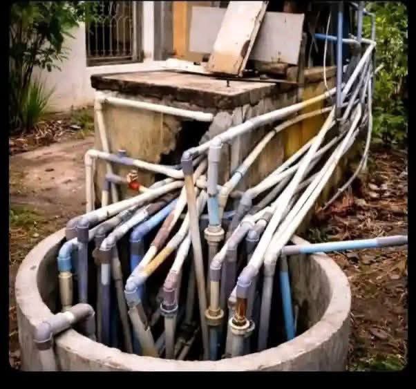 WorldPlaymaker's tweet image. Your serious babe during her second year in poly