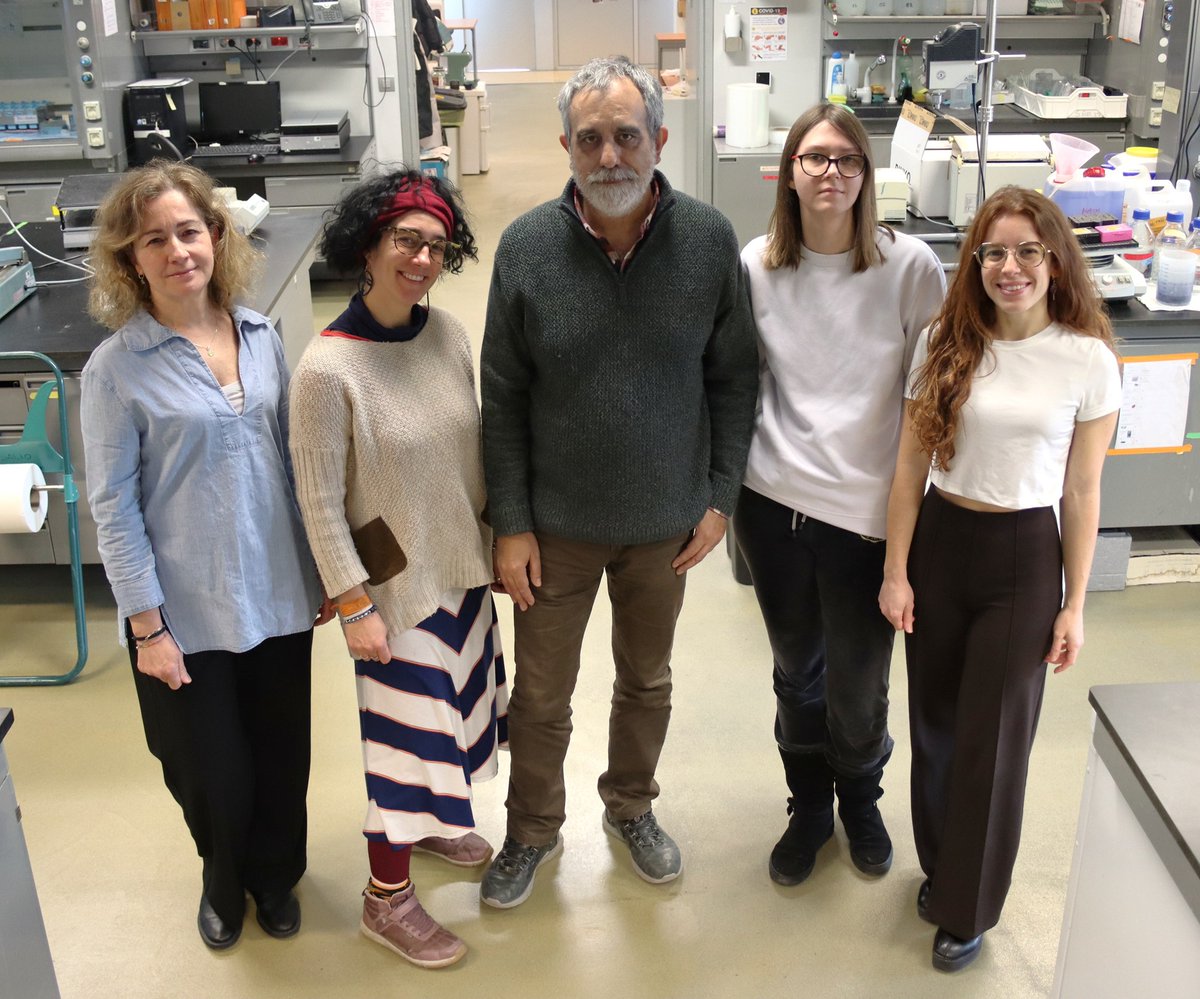 CNIC_CARDIO's tweet photo. 🧬🔬 Una enzima de la levadura del pan ayuda a las células humanas a reparar defectos mitocondriales. Un equipo del @CNIC_CARDIO y del
@CIBER_ISCIII de Fragilidad y Envejecimiento Saludable #CIBERFES, liderado por José Antonio Enríquez (@GenoxphosLab), ha demostrado que una herramienta genética de levadura permite a células humanas fabricar los “ladrillos” del #ADN incluso cuando fallan sus #mitocondrias.
📘 El trabajo abre nuevas vías para investigar tratamientos frente a enfermedades mitocondriales graves y para entender mejor su papel en #cáncer y #EnfermedadesRaras.
🤝 Con la participación de Universidad de Colonia, @UVa_es y el Instituto de Biología y Genética Molecular @proyectosibgm.
Noticia completa ➡️ https://t.co/OFCBp4wfBj
🖇️ DOI: https://t.co/2j0u43eQ9g 🔓 #OpenAccess en @NatMetabolism
#CNIC #Investigación #MetabolismoCelular