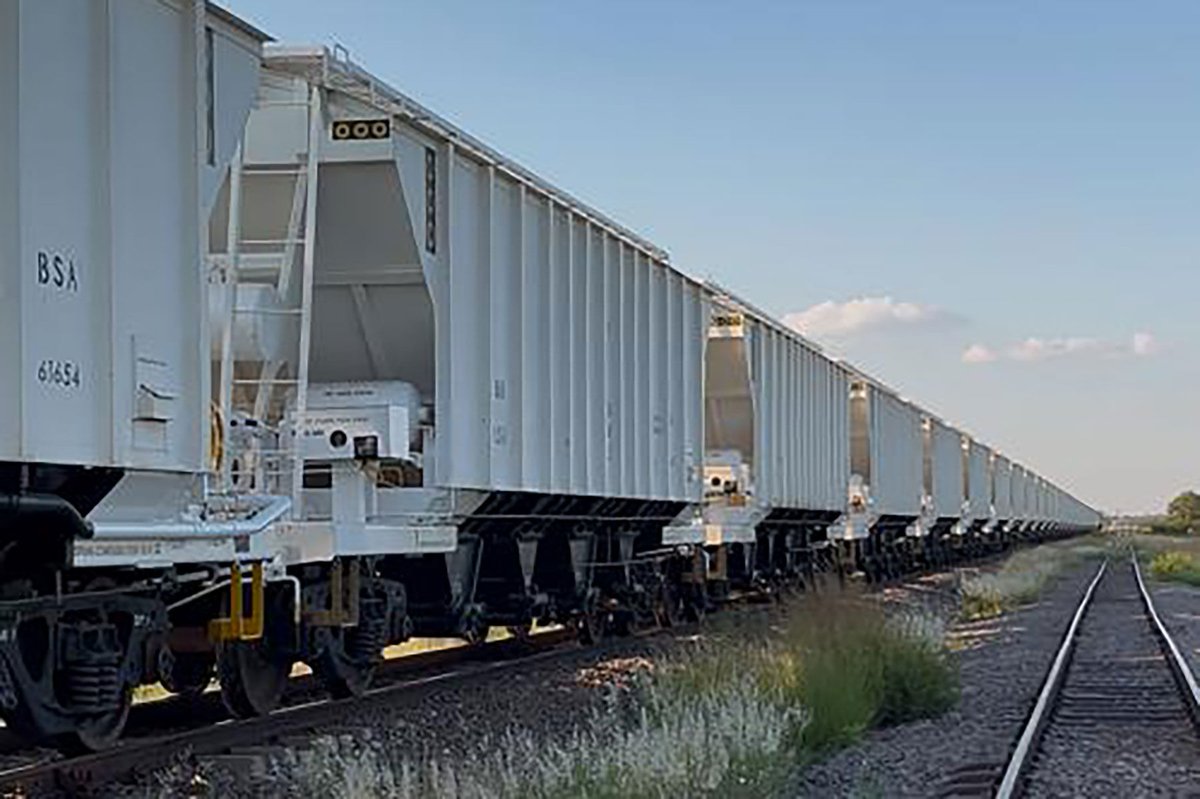 RailwaysAfrica's tweet photo. @BotswanaRail receives 34 soda ash wagons from @TE_Transnet, boosting freight capacity, fleet modernisation and bulk commodity transport.
https://t.co/iSDs3NoXh2
#BotswanaRailways #FreightRail #Rail #Railway #RollingStock #RailInfrastructure #SouthernAfrica #BulkCommodities #Mining #Transport