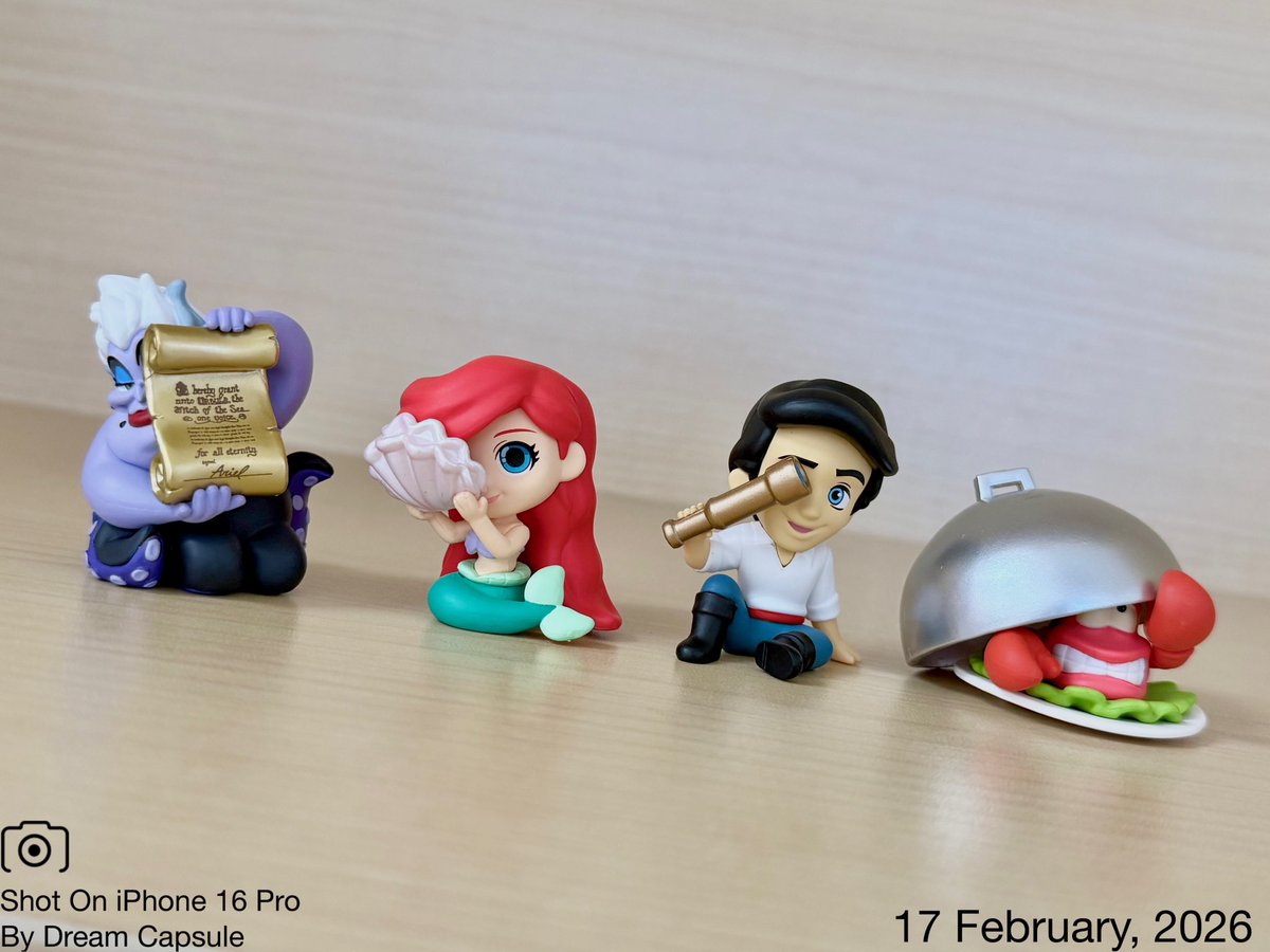 🌟新入荷ガチャ商品プレゼントCP🌟 隠れてるものに注目！あの契約書も