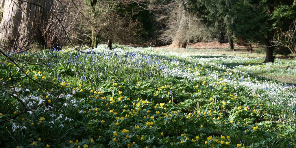 CottrellStephen's tweet image. “This season invites us to consider our ending and our beginning and look forward to the abundance of spring, and, for those of us who follow Jesus, the abundance of life that Jesus’ dying and rising bring to the world.” 

I gave this morning’s #PauseforThought on @BBCRadio2.