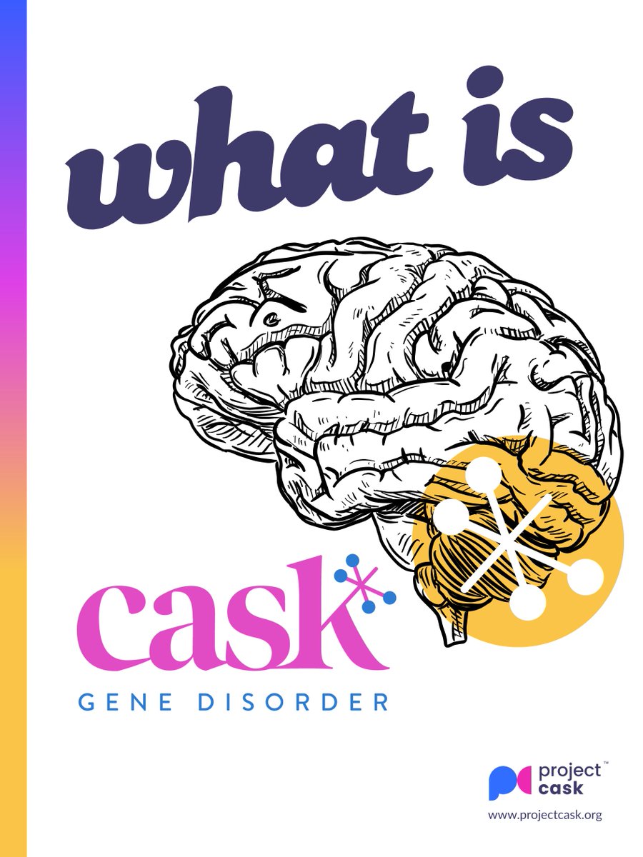 RareRevolutionM's tweet photo. CASK is a critical gene for brain development. Located on the X-chromosome, it has multiple roles before, in &amp; post-synapse. CASK mutations can affect all aspects of human development &amp; health @ProjectCask is driving research to restore those connections https://t.co/2IhkSfoPar https://t.co/1nHSz47jXc