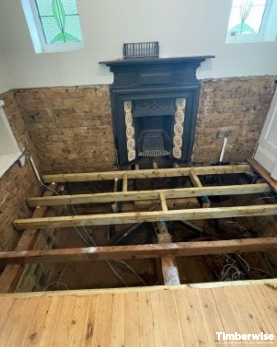 Timberwise tweet media