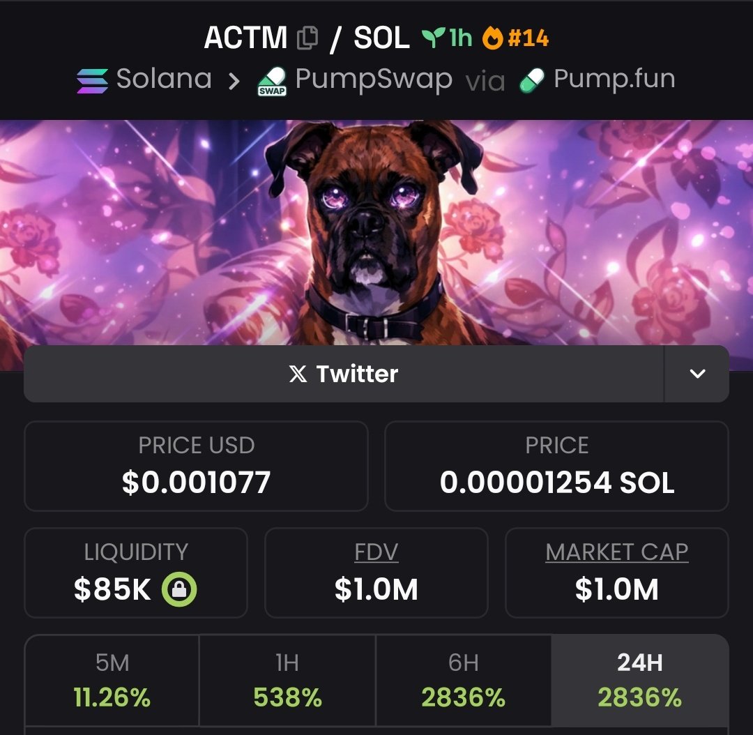 onlysolanameme's tweet photo. Up 3x from entry point $ACTM
✅️✅️✅️✅️✅️✅️✅️✅️
#MEMEMCOIN #SOLANA #ACTM https://t.co/GXlMXKdcvP