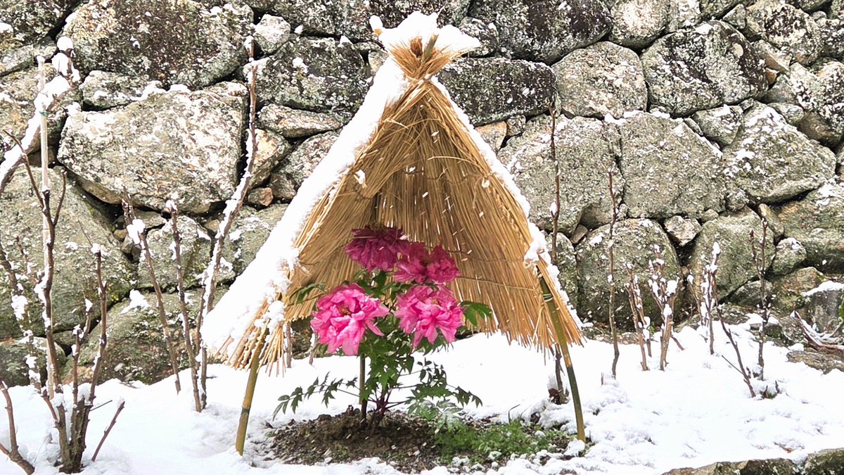 みるタンく tweet media