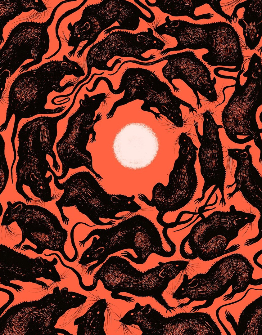 artenpedia's tweet image. Aleksandra Czudzak, Rats