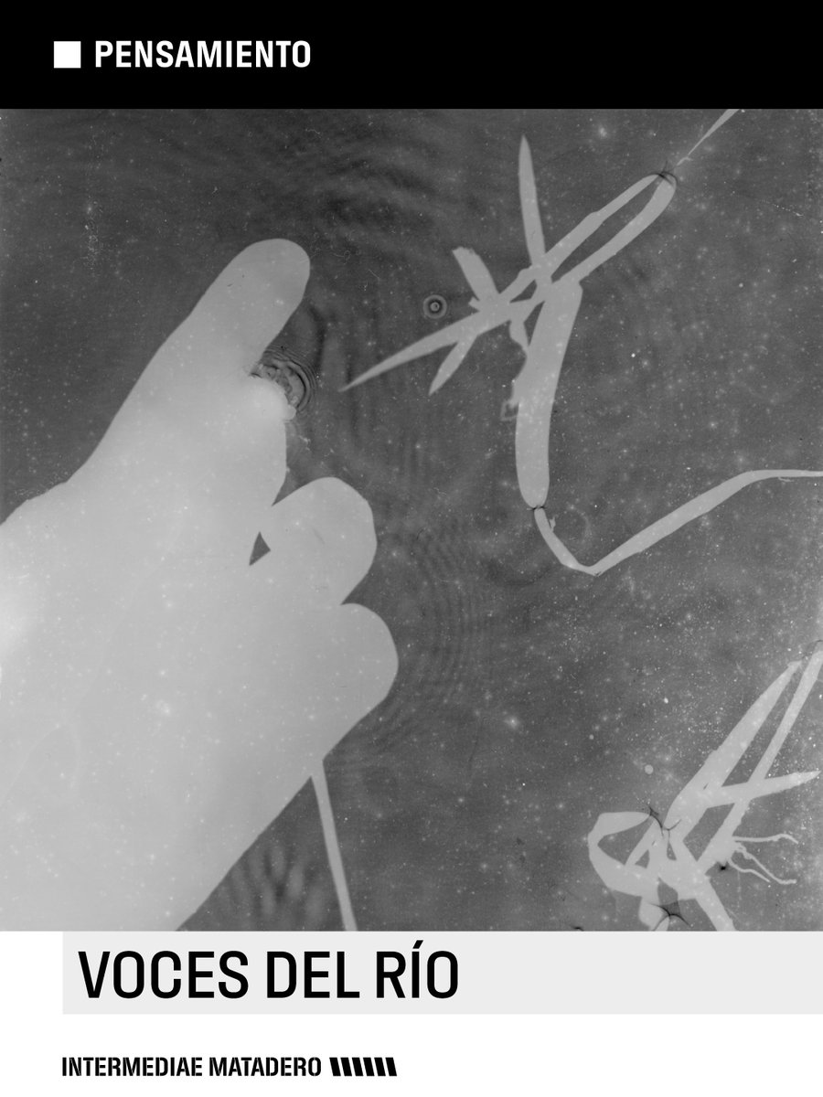 intermediae tweet media