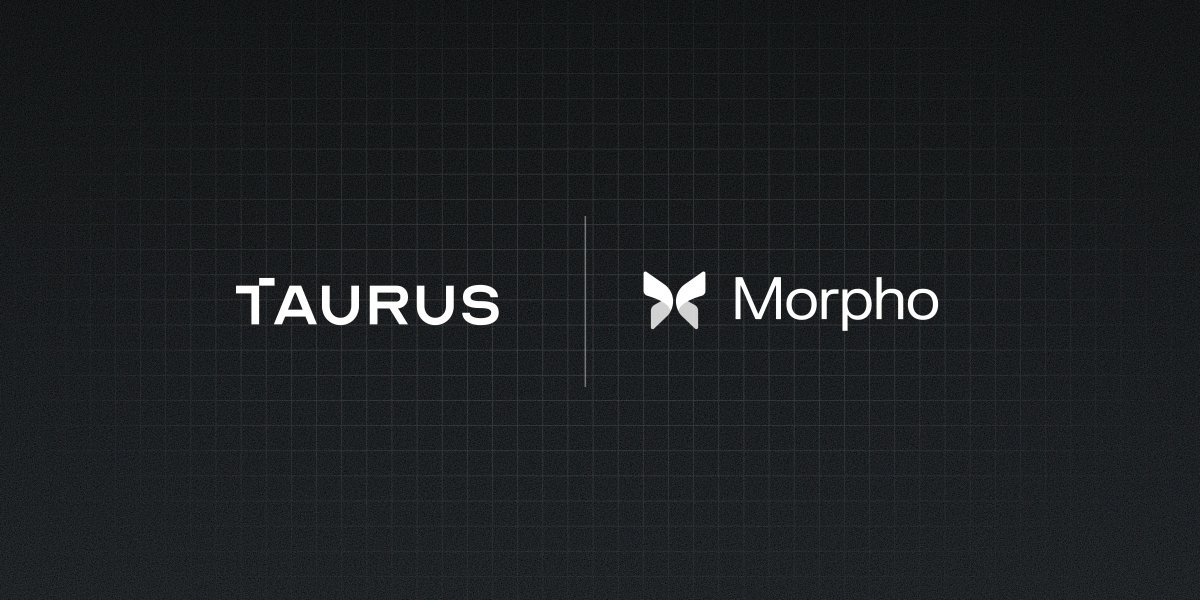 Morpho 🦋 tweet media