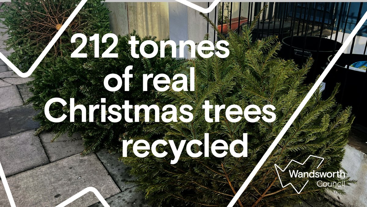 wandbc's tweet image. Thanks to you, more than 212 tonnes of real Christmas trees were recycled through our free collection service this year.

Trees are composted and turned into agricultural fertiliser, supporting our commitment to protecting the environment. 

Find out more orlo.uk/bViy5