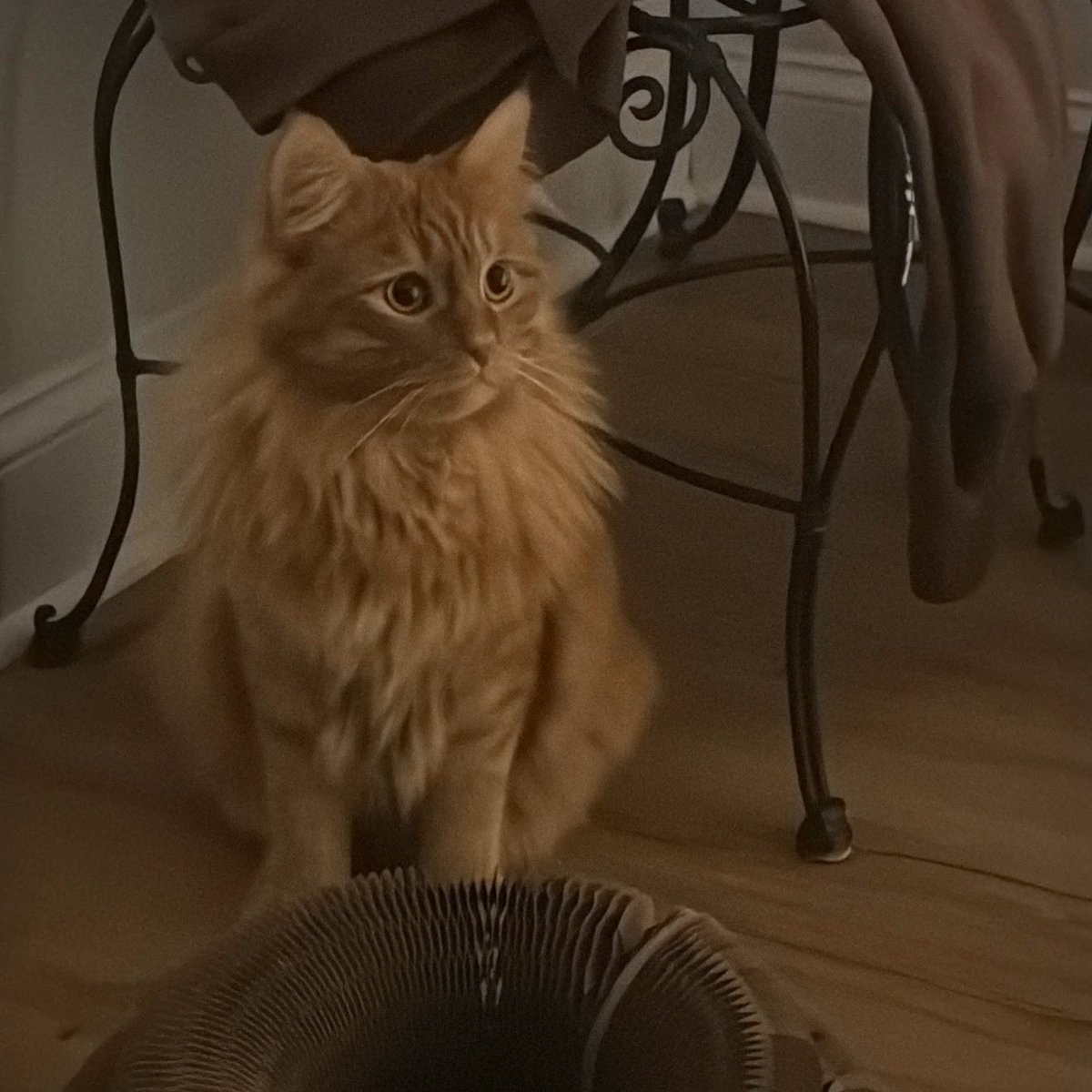 DALEFRIGZ tweet media