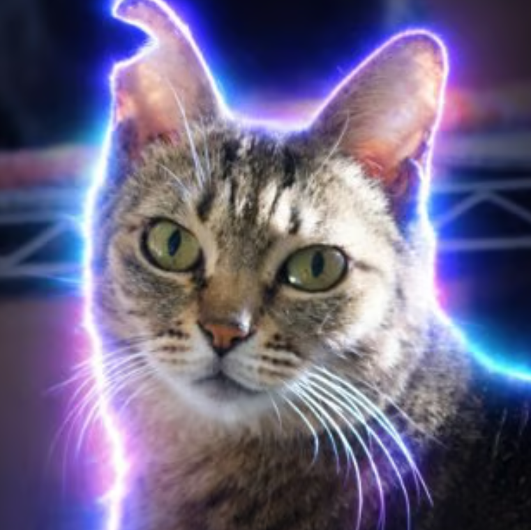 ZenoCooks's tweet photo. This Japanese cat just BLEW UP overnight,

6 MILLION VIEWS IN 1 DAY literally insane virality and Japanese people are already making memes and art of her,

MOST POPULAR ANIMAL IN JAPAN, Is this not insane?!
https://t.co/9DUW8C0Unr https://t.co/OnjJR9GfYy