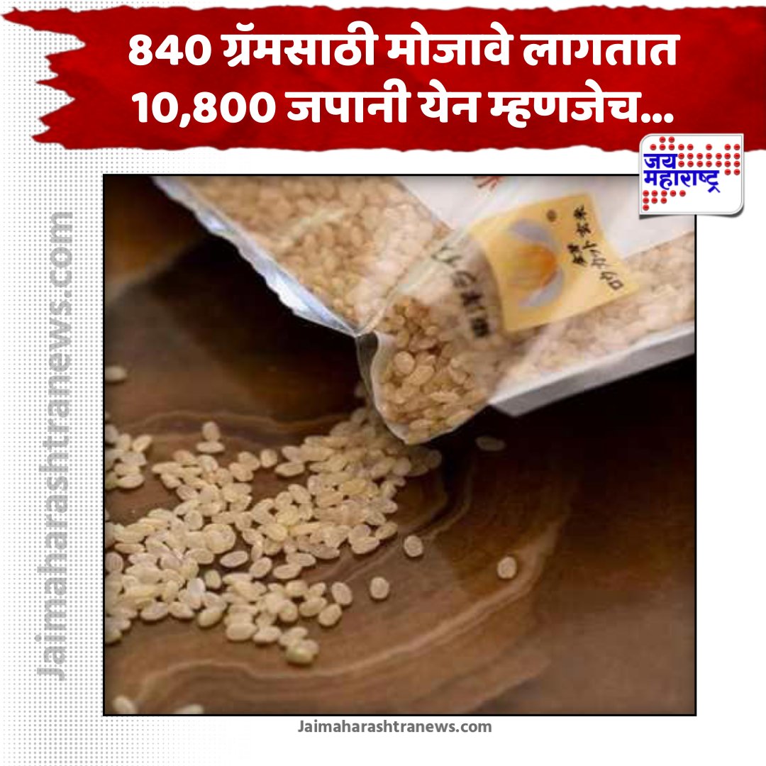 JaiMaharashtraN's tweet photo. World's Most Expensive Rice : एक किलो तांदळाच्या किंमतीत खरेदी कराल स्मार्टफोन; 'हा' आहे जगातील सर्वात महागडा तांदूळ, पण इतका महाग का?
https://t.co/xyk1qC0VLc
#worldmostexpensiverice #expensiverice #ricelover https://t.co/nszE6CUKED