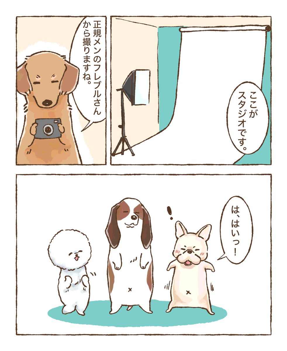 藤原めめ (@meg12_06) / Posts / X