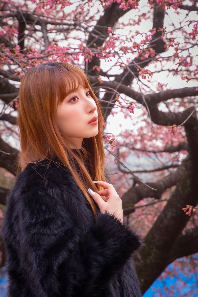 LUO （ロー）さん2061 <a href="/kirakira8023/">LUO</a> 
#河津桜 2
#valentine #chinesemodel #高身長女子 #写游会
