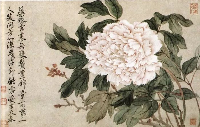 BozskyOrac's tweet photo. Tea Tasting - Five "White Peonies" -Bai Mu Dan 白牡丹  On Friday, February 20th at 6:30 PM, we will delve into the world of white tea through its most famous representative - White Peony. Bai Mu Dan tea - 白牡丹 Reservations required via FB, IG, Mail messages! https://t.co/ycQr3AGFso