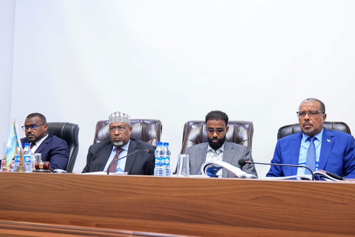 Constitutional Oversight & Implementation Committe tweet media