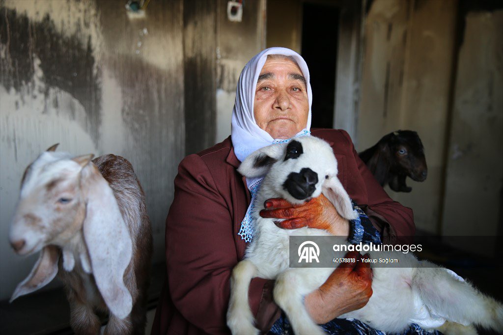 Yakup Sağlam tweet media