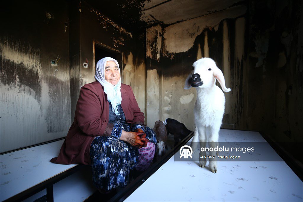 Yakup Sağlam tweet media