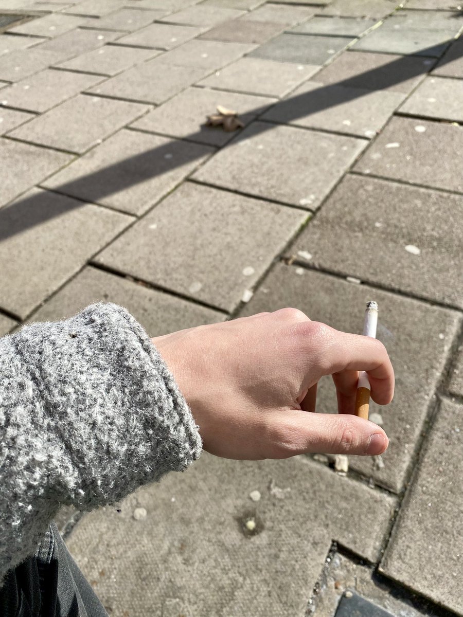 Hyperdulia_'s tweet image. My body is a machine that turns meal deals and cigs into patriotism