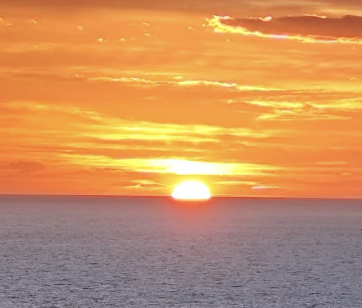 Solitario tweet media