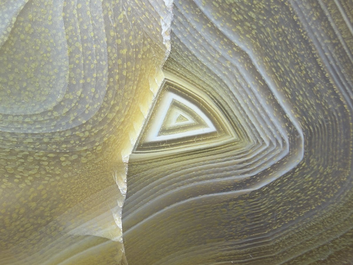 久しぶりにアゲートクリークコーナーを開く。購入元は緑工房さんだが