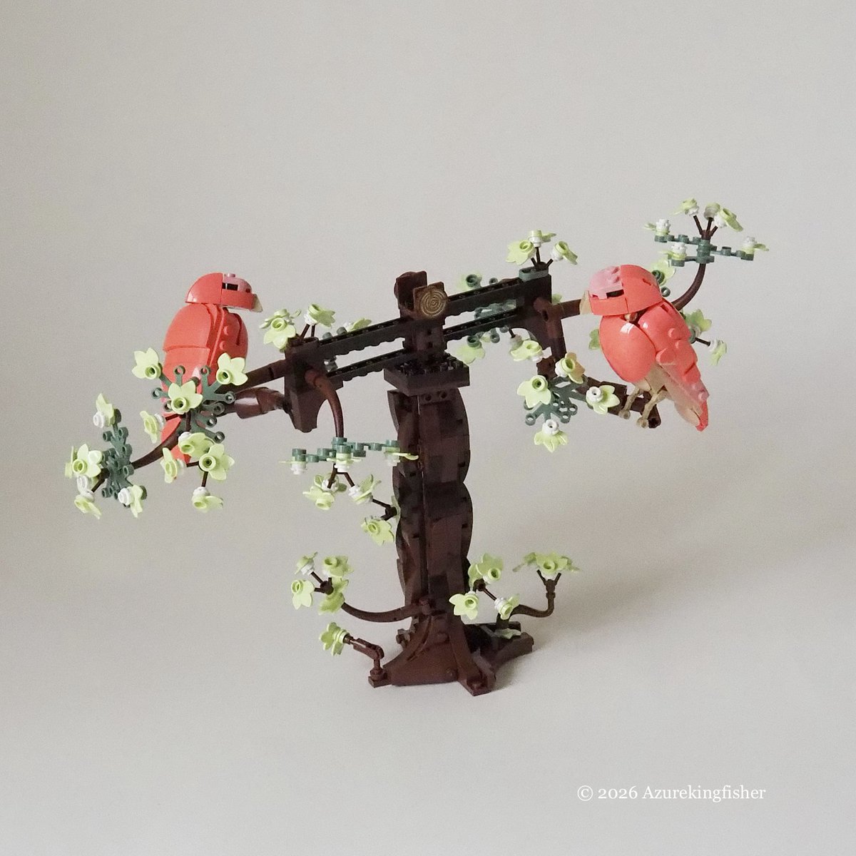 Azurekingfisher tweet media