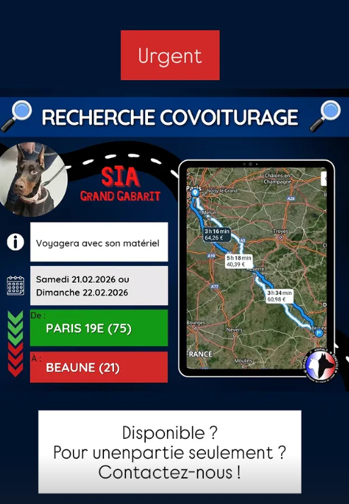 Brigade Animale Bénévole | BAB tweet media