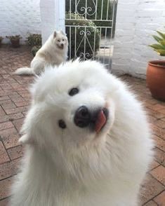 เหมือนคนเพิ่งตื่น  แต่น่ารัก🤏🏻

#skywongravee