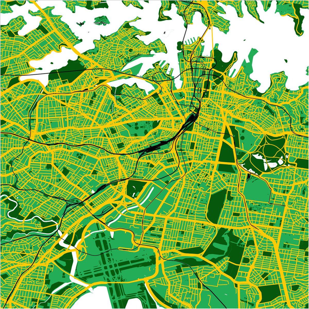 Chenonetta tweet media