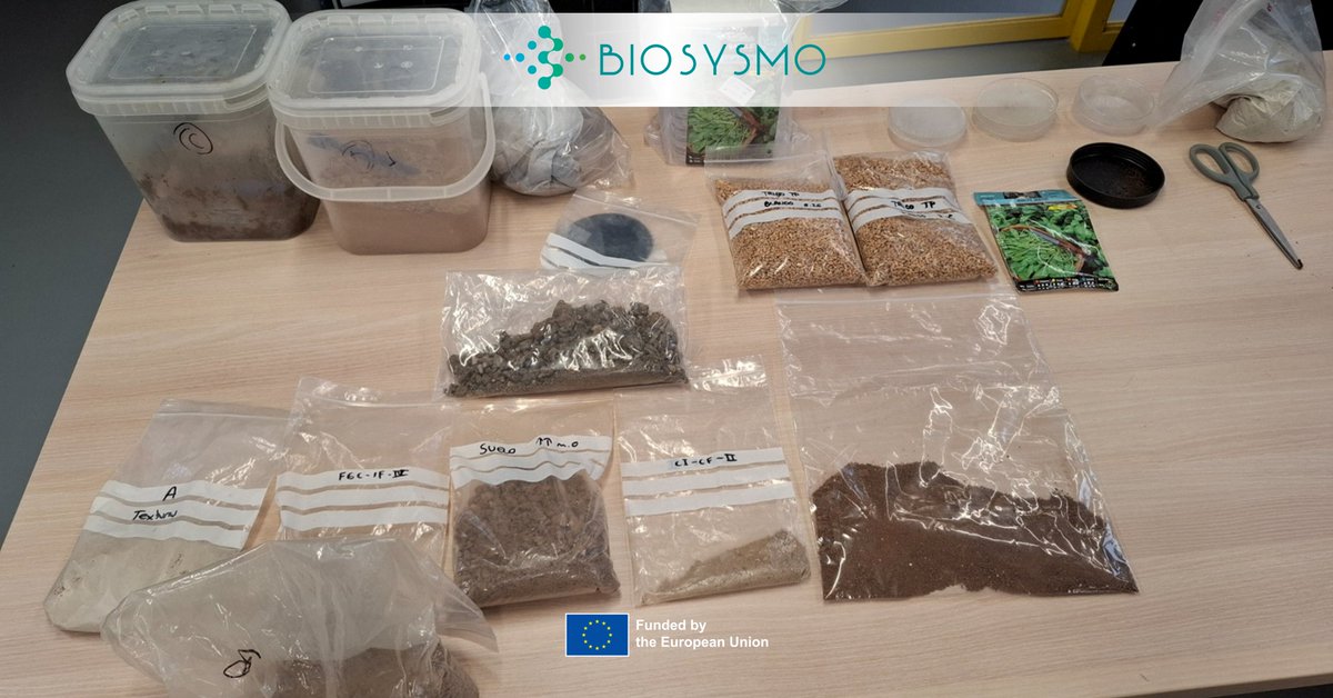 BIOSYSMO Project tweet media