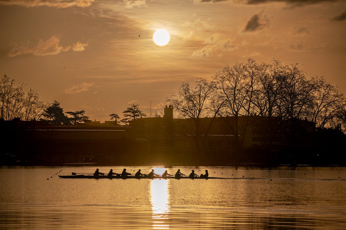 Silvia Puig Planells tweet media