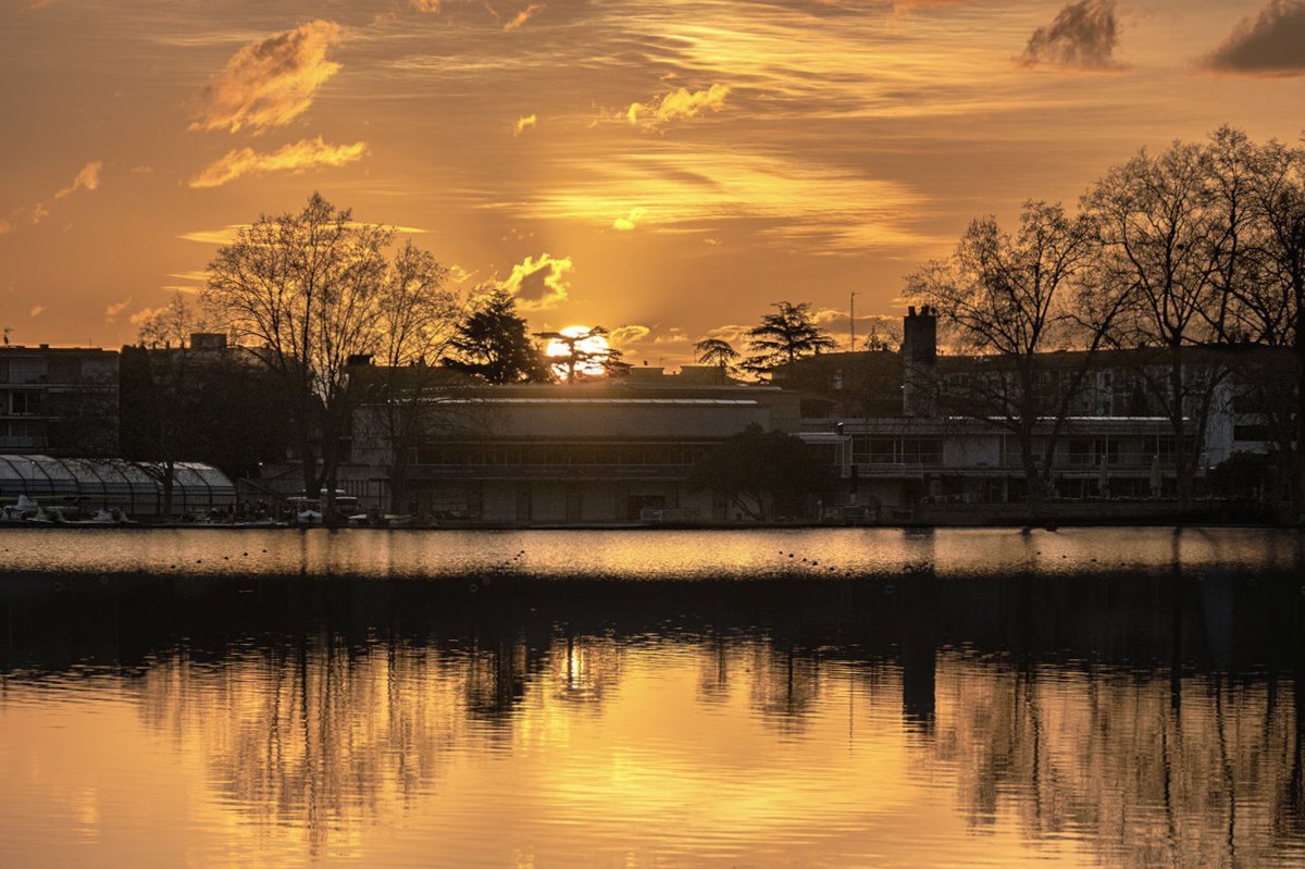 Silvia Puig Planells tweet media