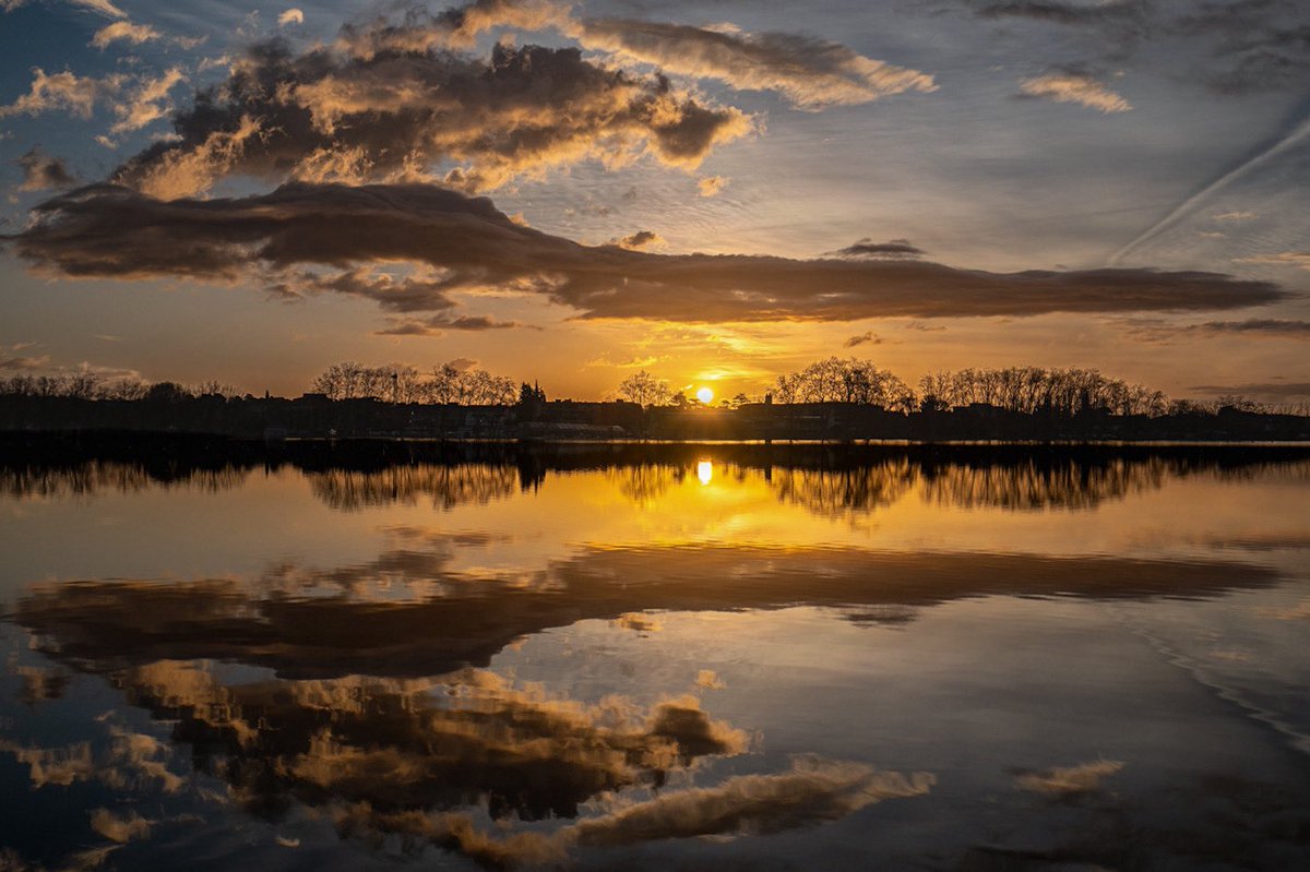 Silvia Puig Planells tweet media