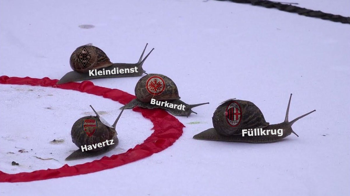 Lalpengu | David Otto Fanbusfahrer tweet media