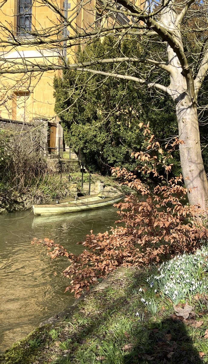 Neil Renic tweet media