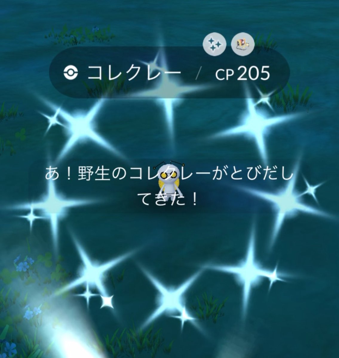 ここぺりGO tweet media