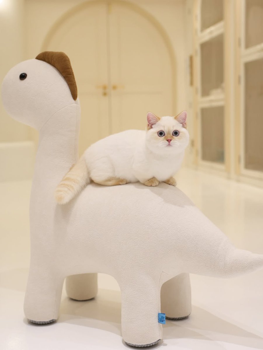 IG - munchkinthailand_ update 📍
16 / 02 / 26

NUT X MOJI 
——-
#nnutdan 
#LYKN