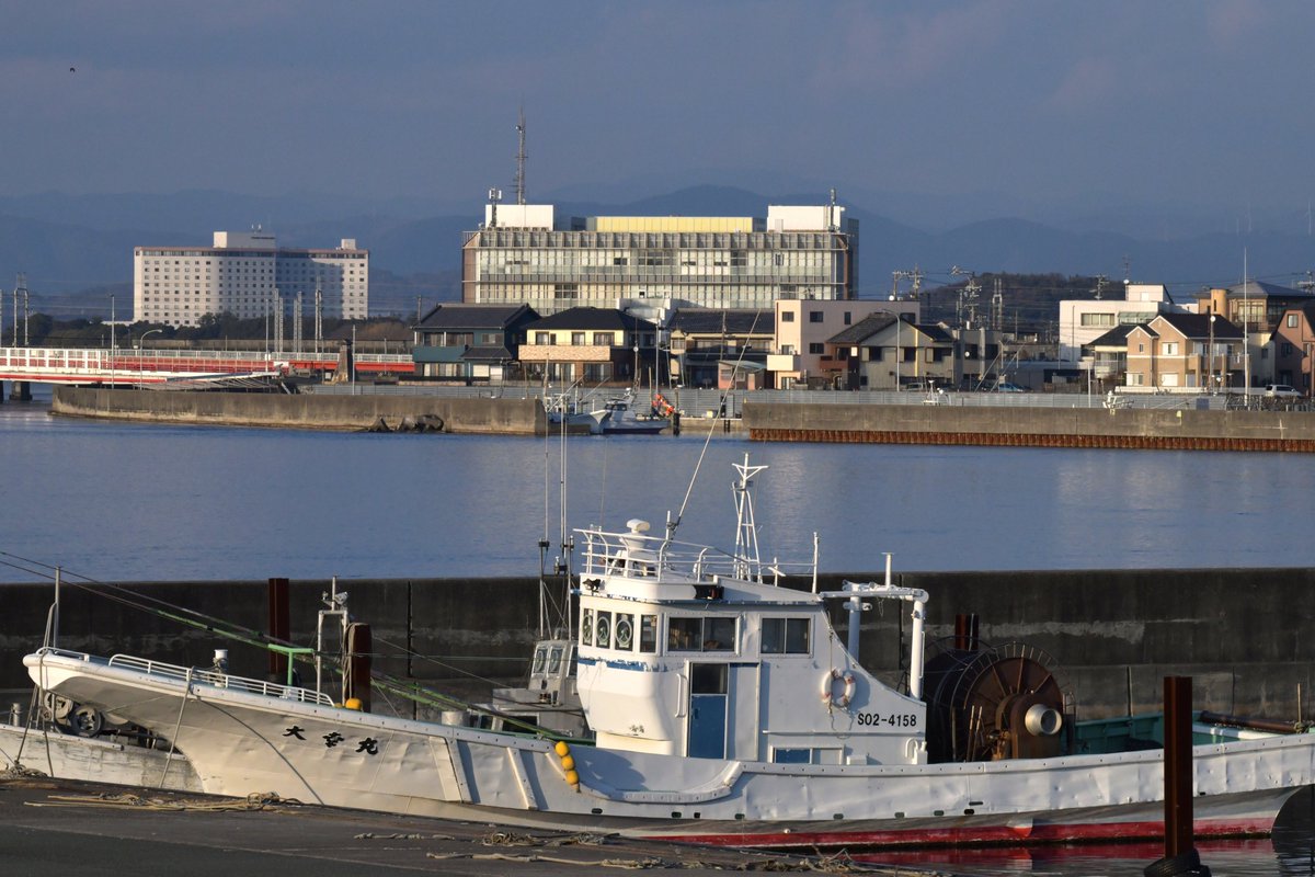 TOSHIMI HIRAYAMA tweet media